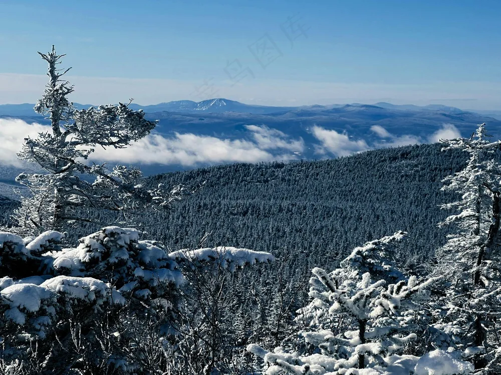 雪域静谧：冬日山林的蓝调风情