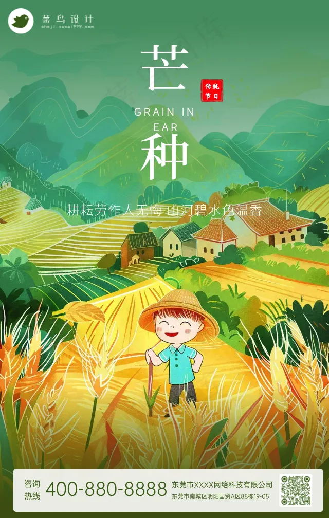 芒种手机海报