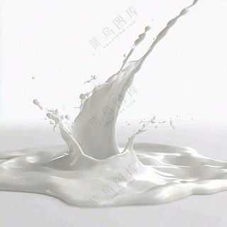 白色的牛奶飞溅摄影图