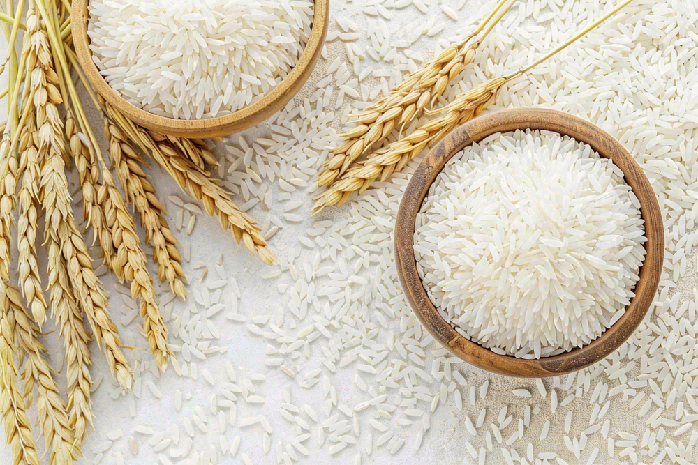 世界粮食日谷物米饭稻谷小麦摄影图
