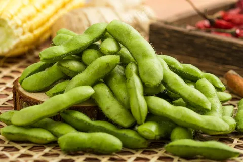 毛豆食材背景素材