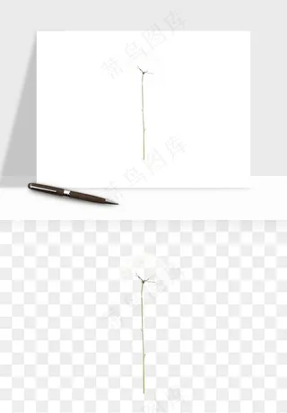 唯美蒲公英种子png免抠