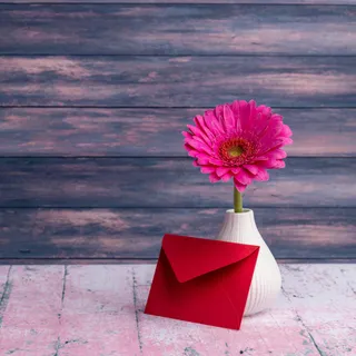 红色信封 表白 小清新 花瓶