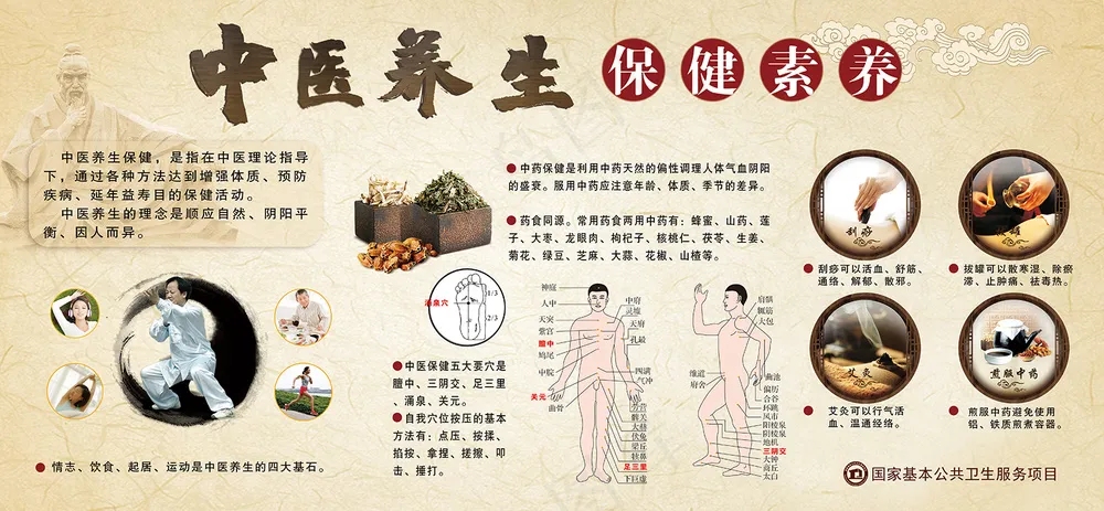 中医养生保健素养宣传栏