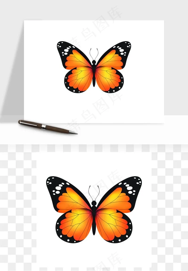 蝴蝶昆虫矢量png免抠