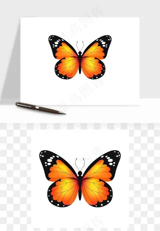 蝴蝶昆虫矢量png免抠