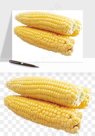 玉米带叶玉米png免抠