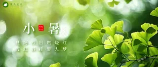 小暑公众号首图