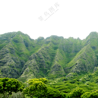 高山植被与茂密的树林免抠图片素材