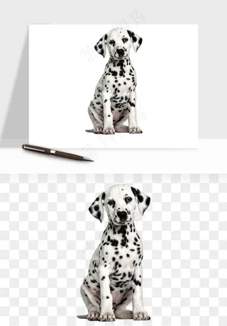 猫咪喵星人狗狗宠物元素png免抠