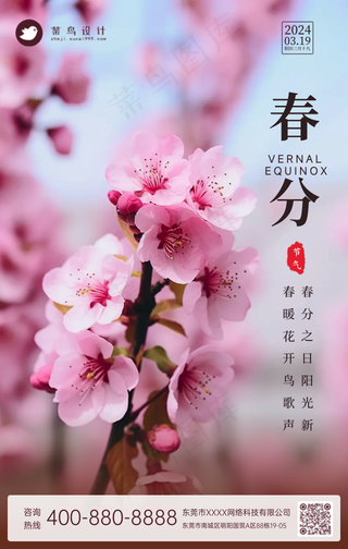 春分手机海报