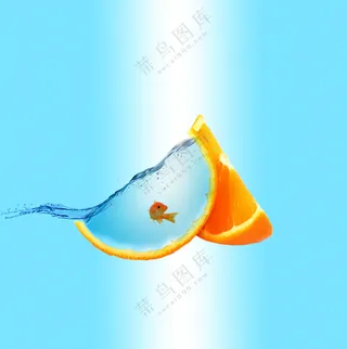 生活在橘子中鱼