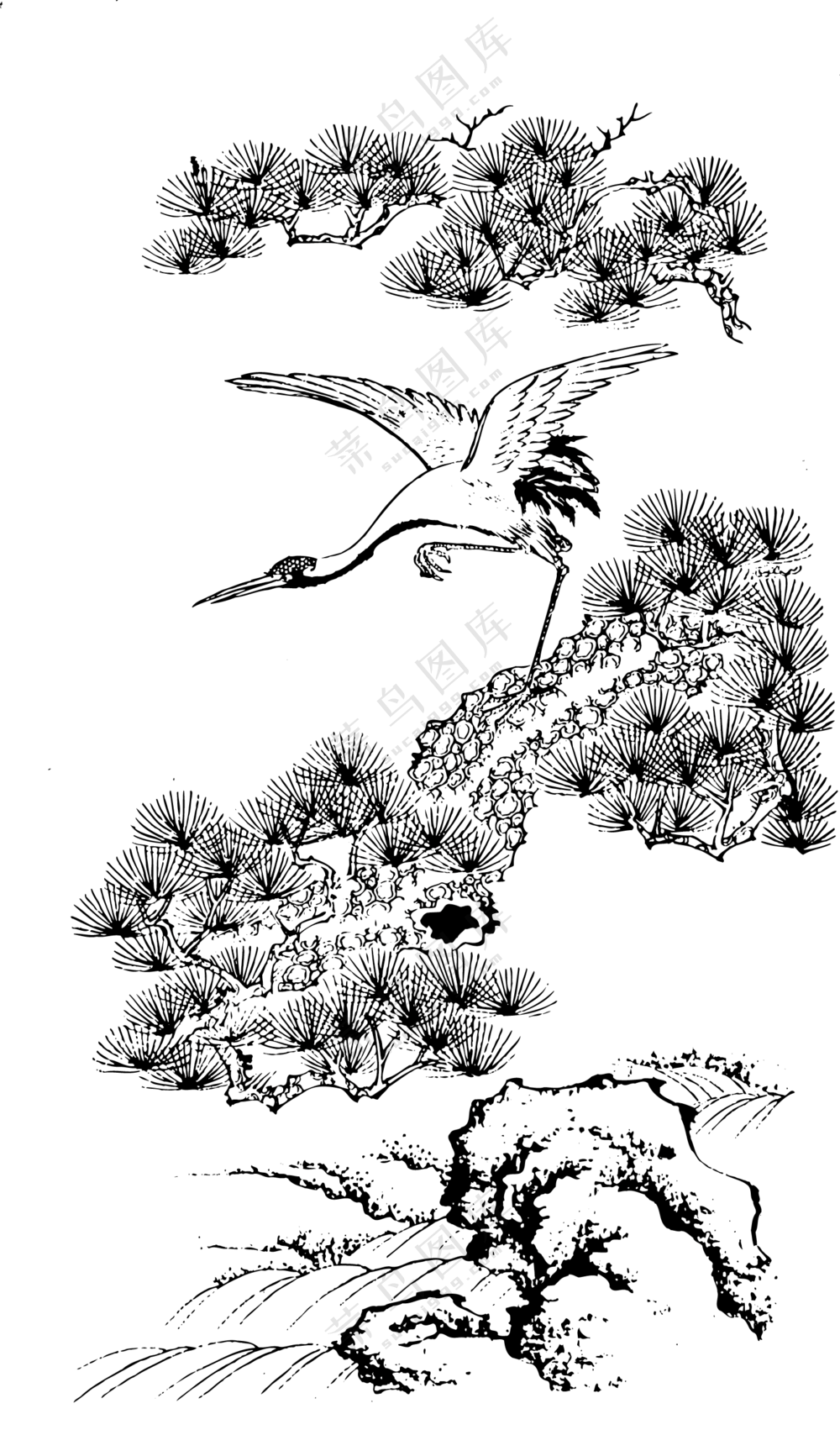 松柏树枝上的仙鹤绘画免抠图片素材