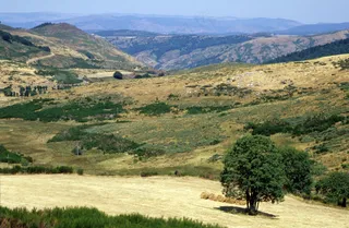 金色田野与远山的和谐交响