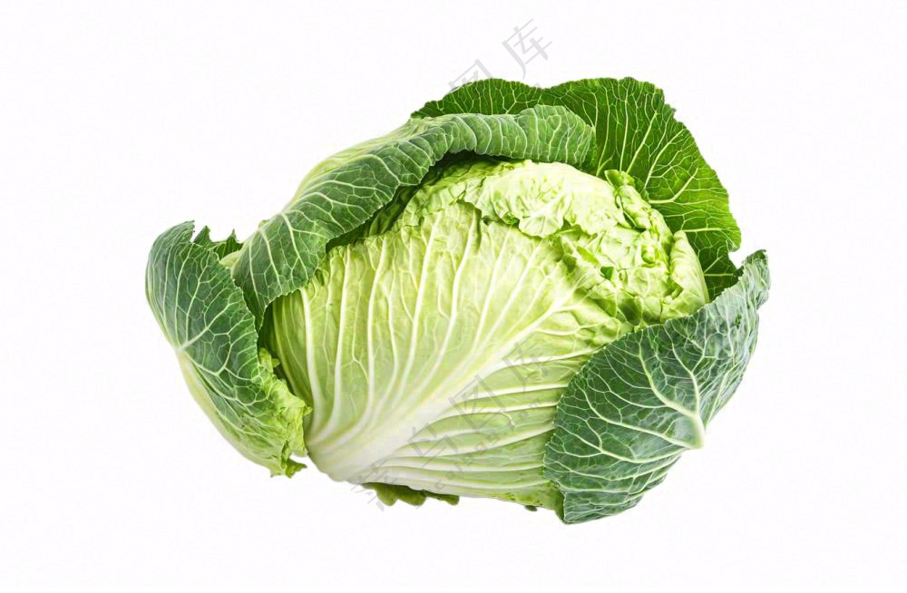 青菜蔬菜包菜免抠