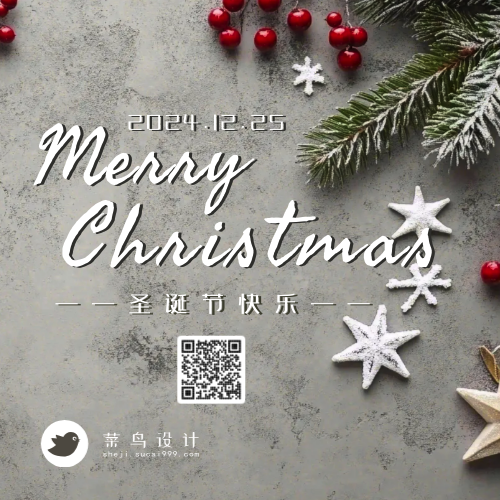 圣诞节快乐公众号次图
