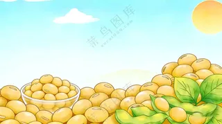 黄豆大豆插图高清