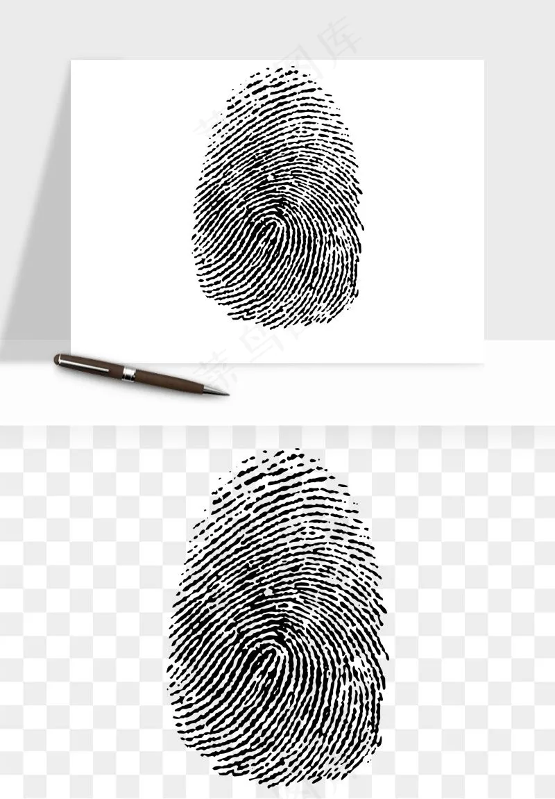 指纹手指纹路png免抠