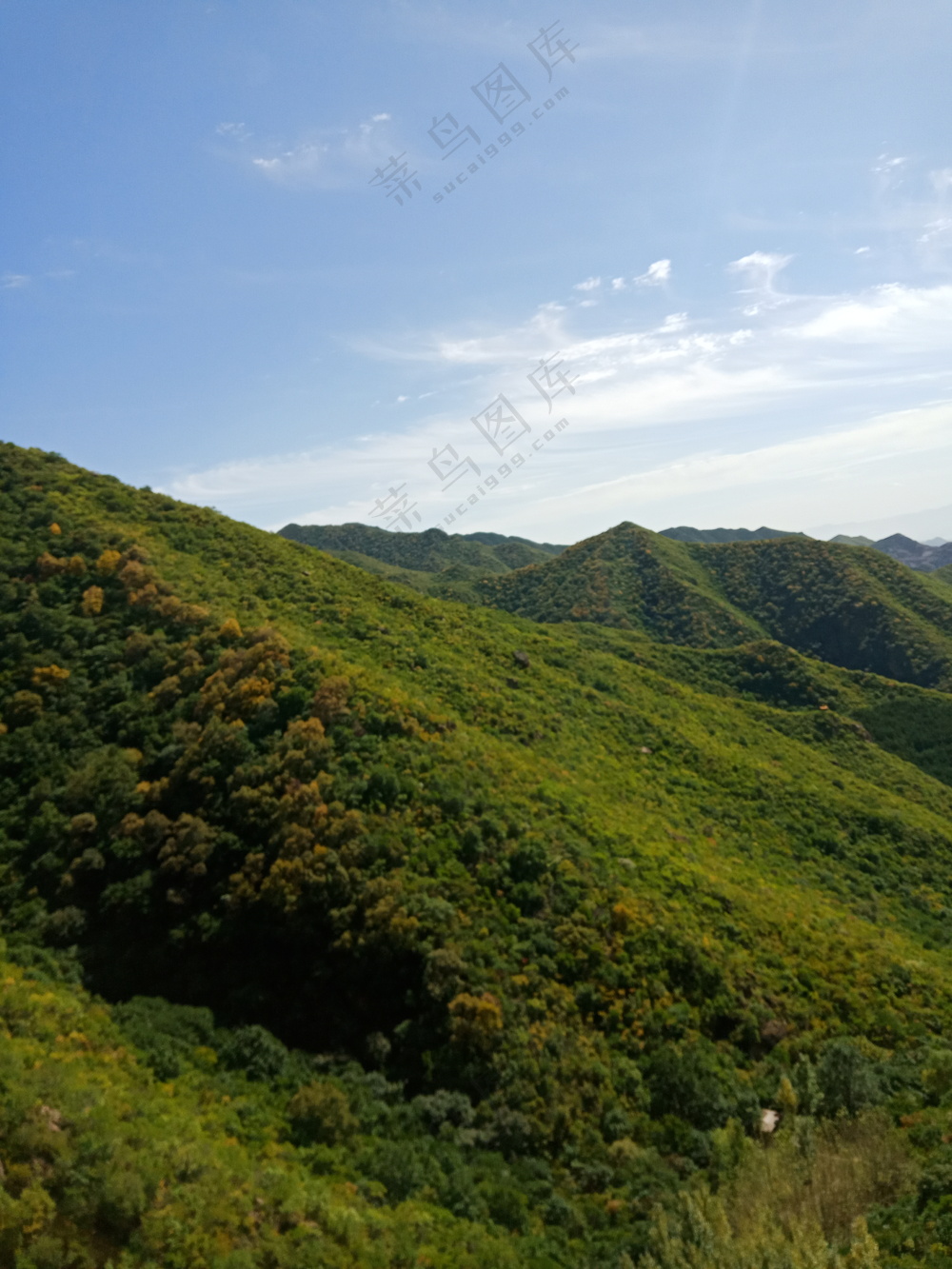 青山 绿野