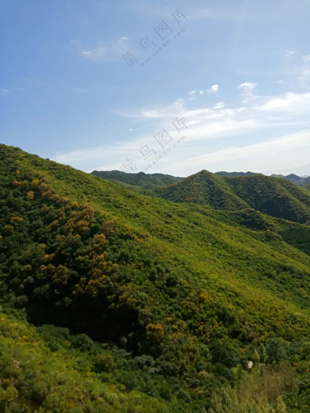青山 绿野