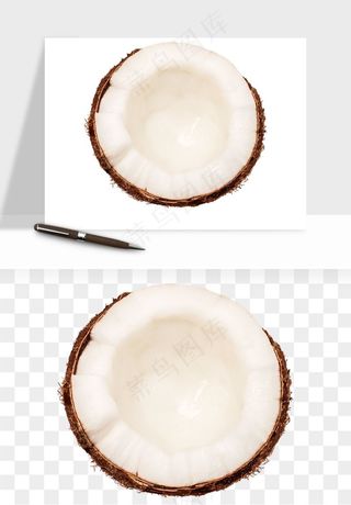 椰子椰果水果png免抠