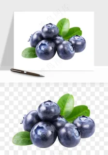 蓝莓水果png免抠