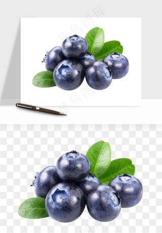 蓝莓水果png免抠