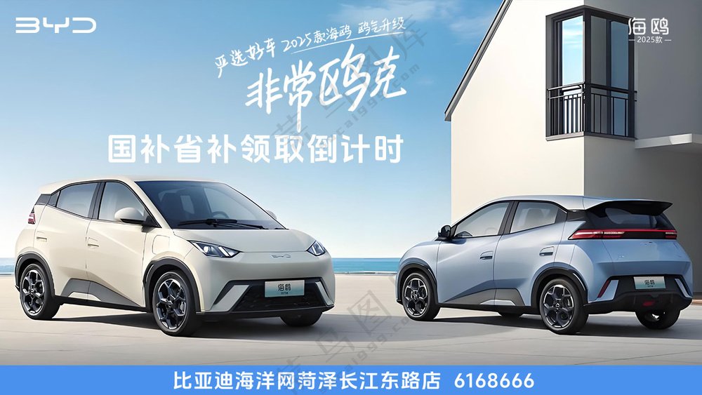 比亚迪海鸥2025款上市非常鸥克海报