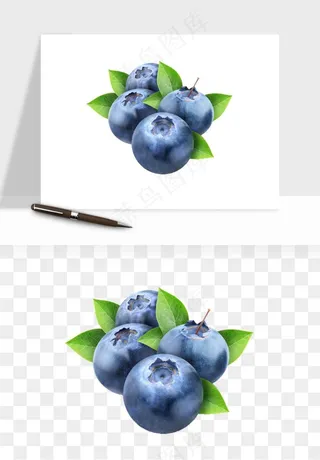 蓝莓水果png免抠