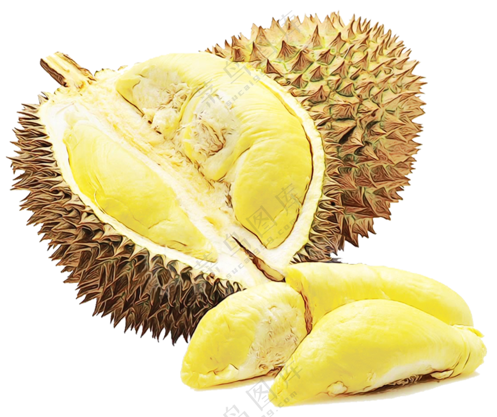 热带水果榴莲