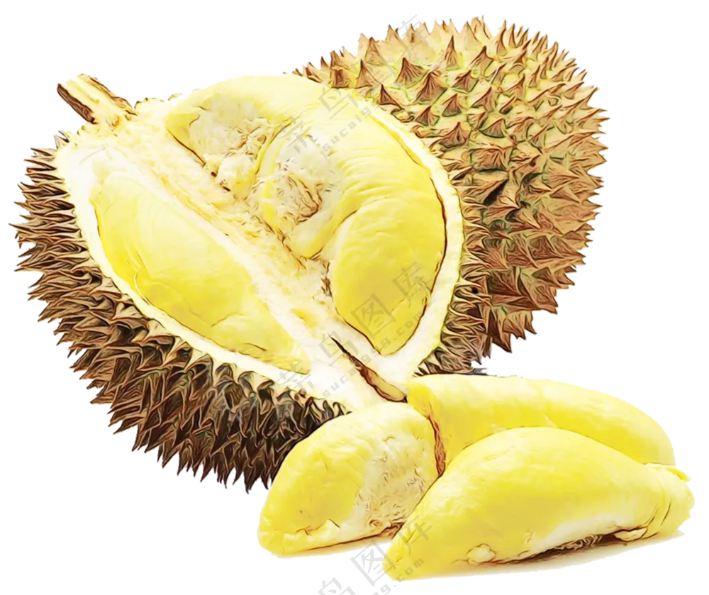 热带水果榴莲