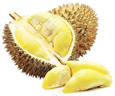 热带水果榴莲 热带水果榴莲