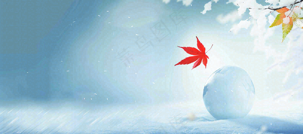 冬季白雪飘落红色枫叶雪花小寒大寒小雪立冬背景