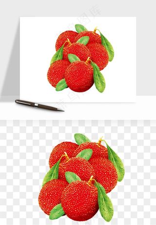 杨梅采摘水果png免抠