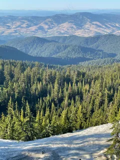 雪野松林山峦图·自然宁静·蓝褐装饰画