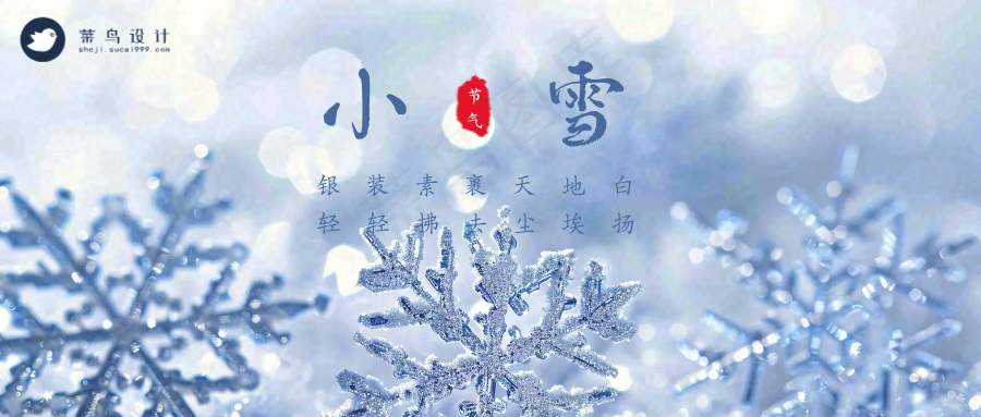 小雪公众号首图