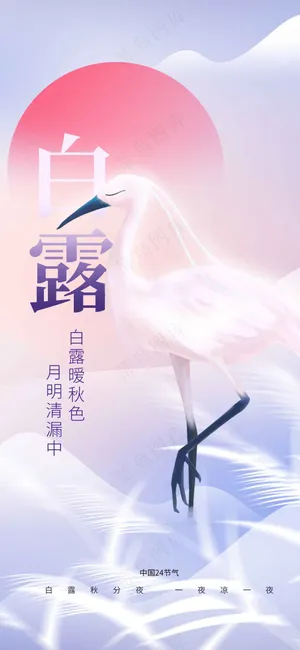 白露节气传统活动海报