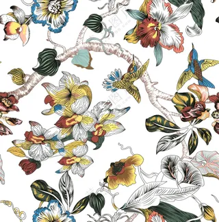 方巾丝巾花鸟插画图片素材