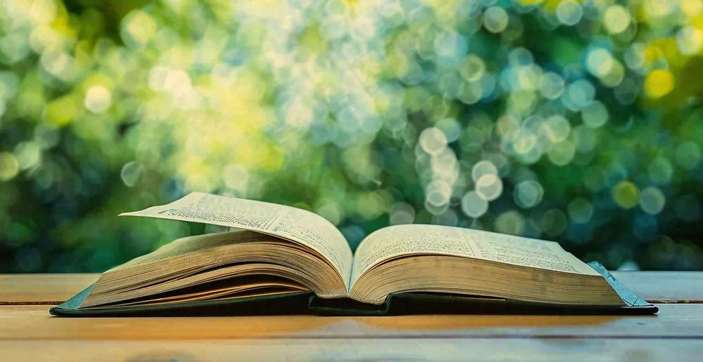 大自然绿色阅读书本世界读书日摄影图