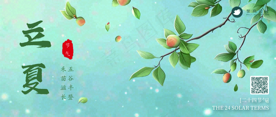 立夏公众号首图
