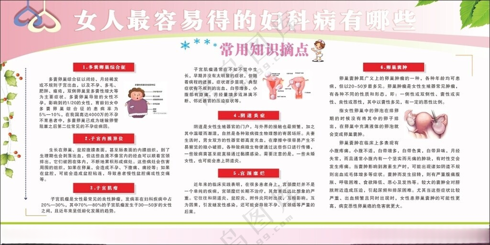 医院妇科疾病科普宣传栏医疗展板健康教育展板