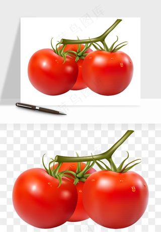 西红柿番茄圣女果png免抠