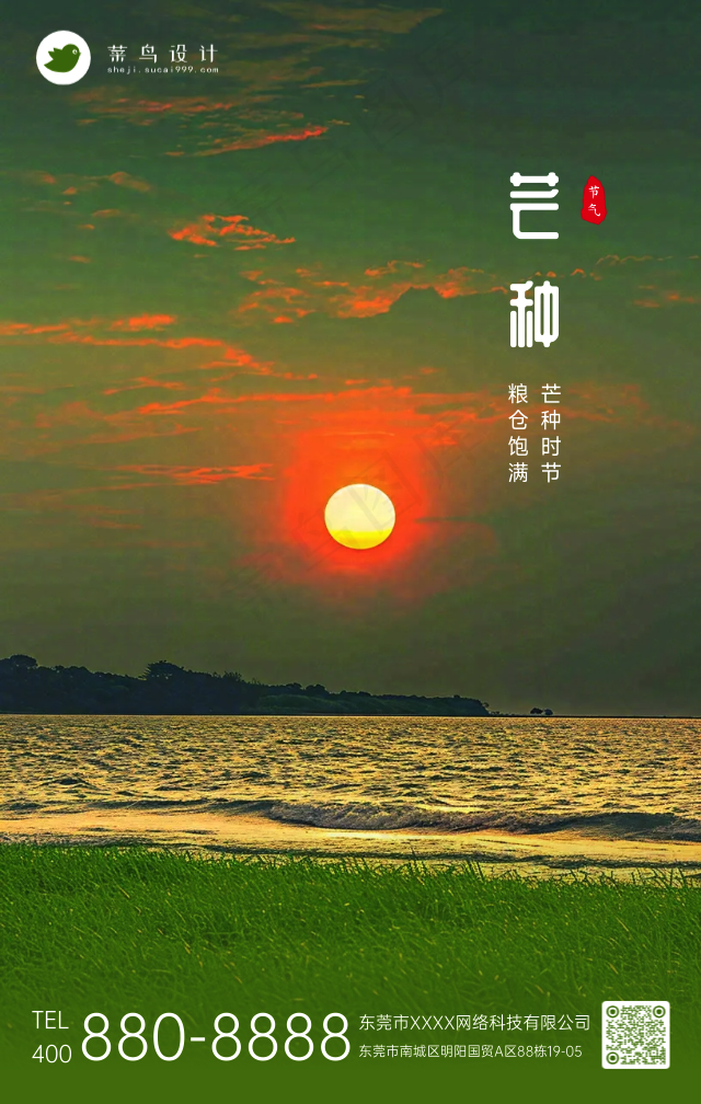 芒种手机海报