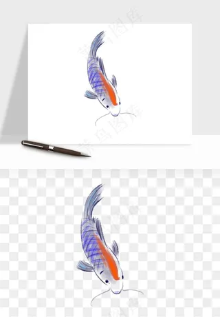 锦鲤鱼手绘水墨png免抠