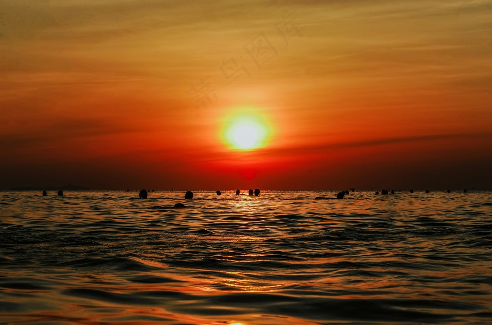 夕阳下的海洋金色波光