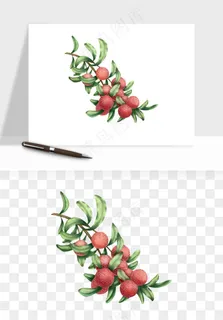 杨梅采摘水果png免抠