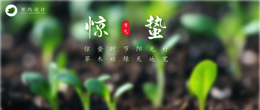 惊蛰公众号首图