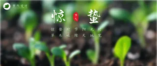 惊蛰公众号首图