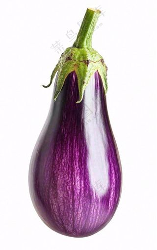 茄子紫茄蔬菜免抠