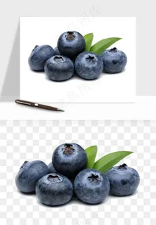 蓝莓水果png免抠